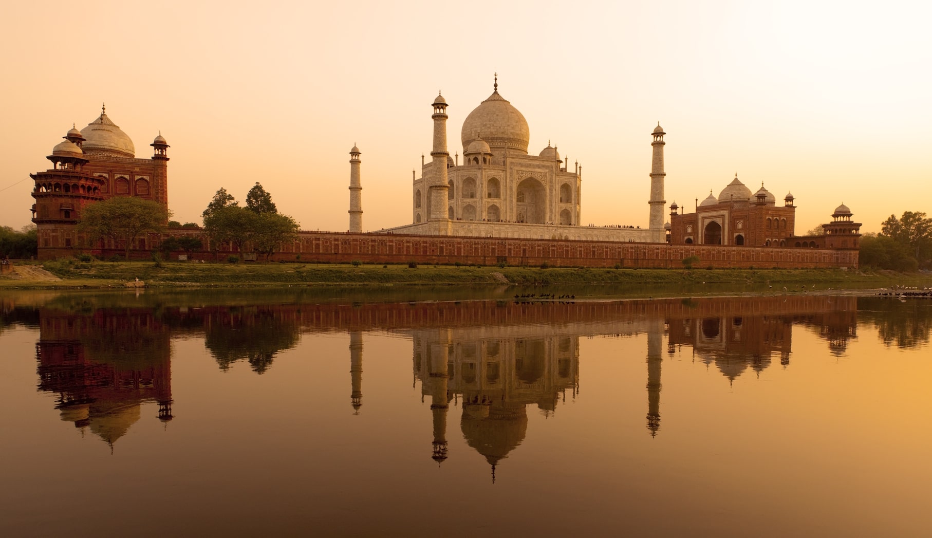 India E Visa Uk